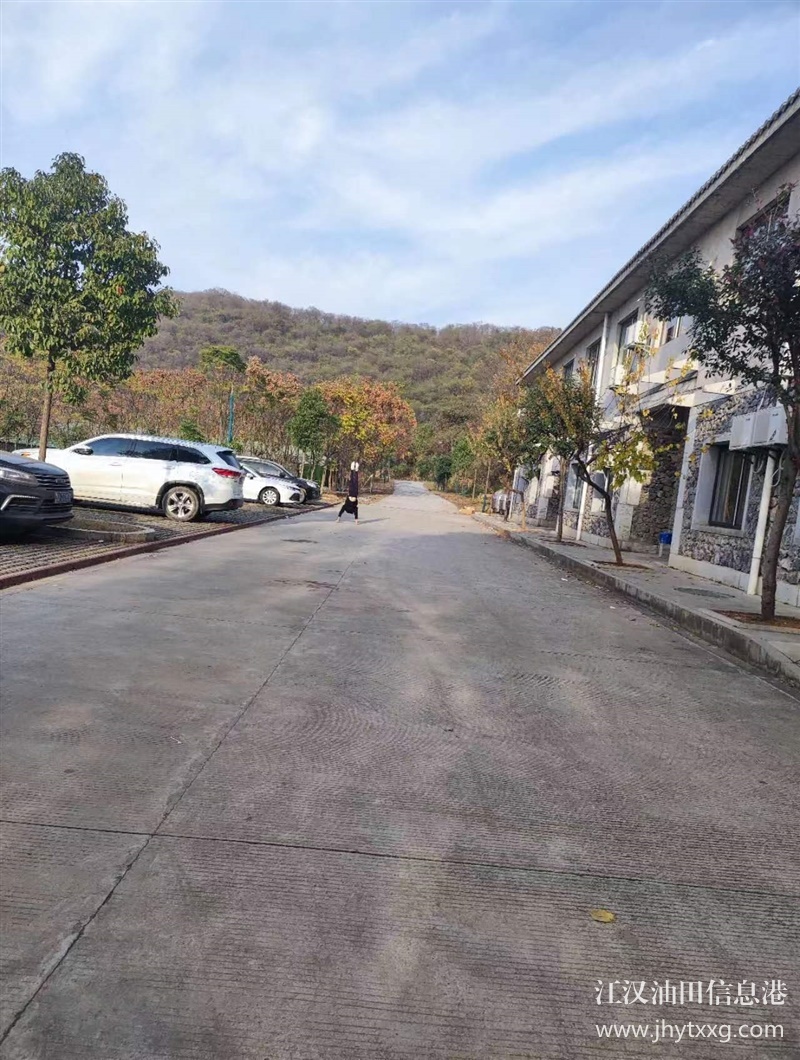 變成高富帥幾種必要條件，傳說武漢公司周邊團(tuán)建有訣竅