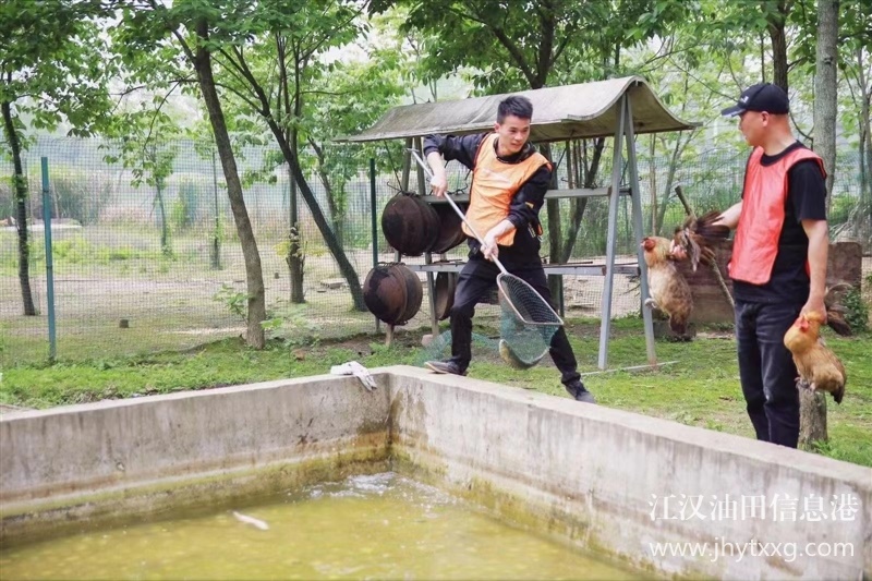 武漢公司團建一天的流程公開，玩法多多亮點多多性價比高