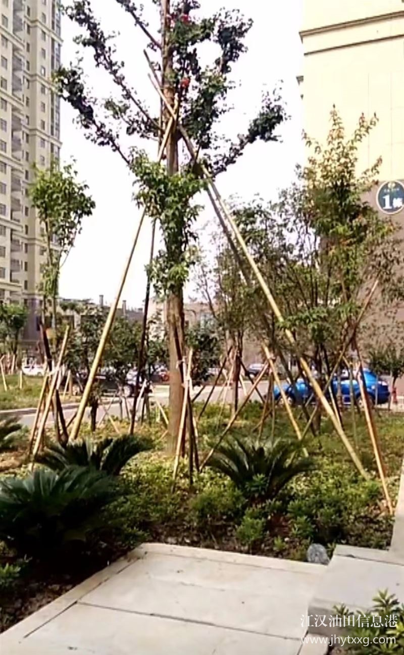 出售廣華君天下一室兩廳一廚一衛(wèi)一樓學(xué)區(qū)房13621039017胡女士