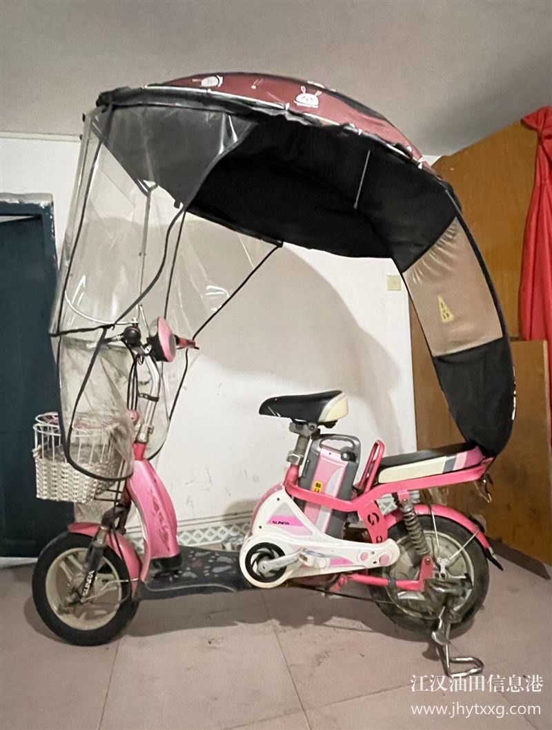 出售電動車
